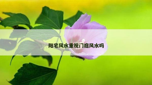 阳宅风水重视门庭风水吗
