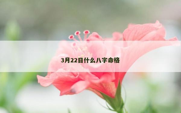 3月22日什么八字命格