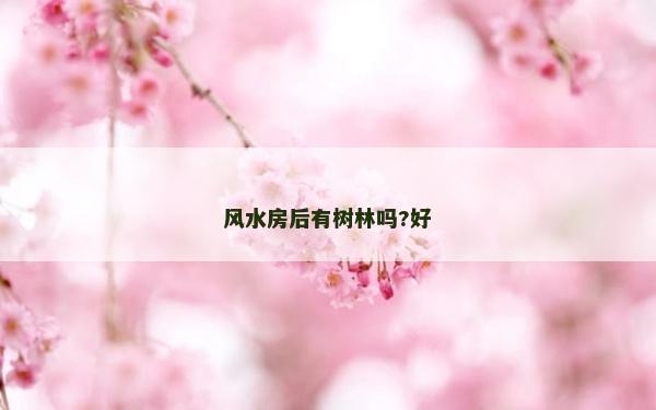 风水房后有树林吗?好
