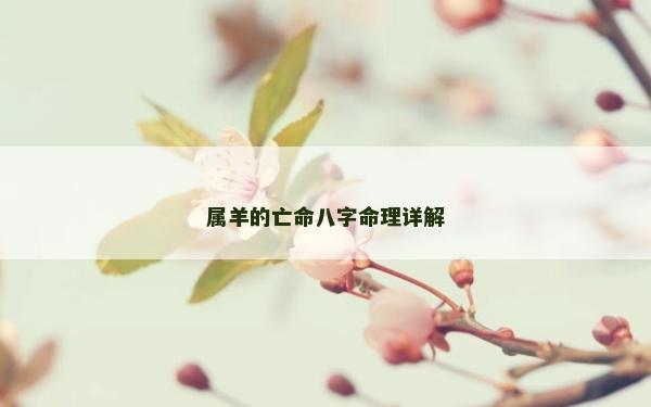 属羊的亡命八字命理详解