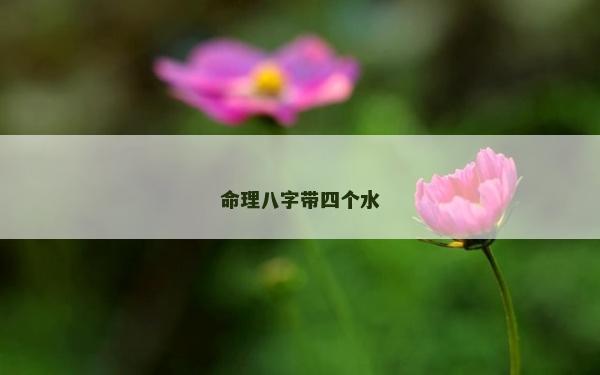 命理八字带四个水