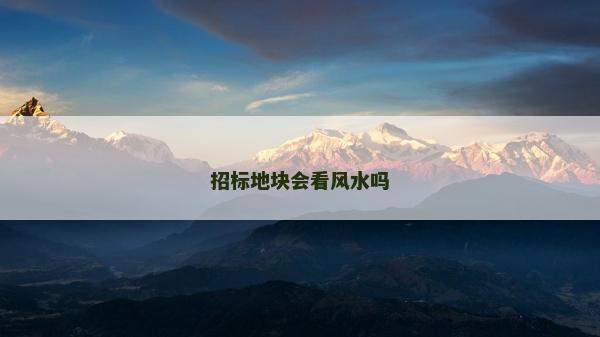 招标地块会看风水吗