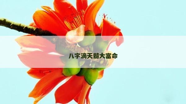 八字滴天髓大富命