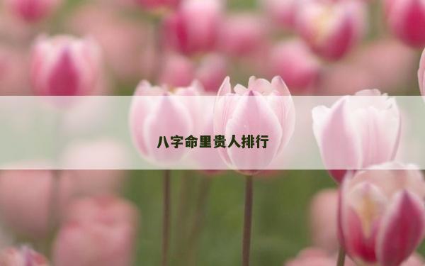 八字命里贵人排行