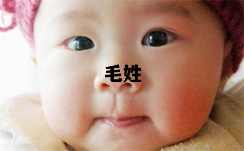 毛姓有智慧才气的男孩名字