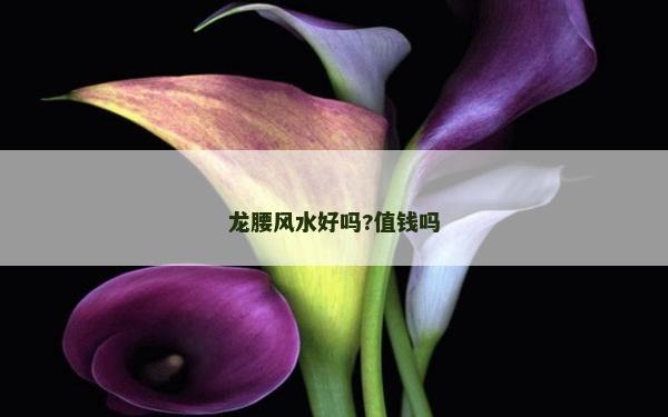 龙腰风水好吗?值钱吗