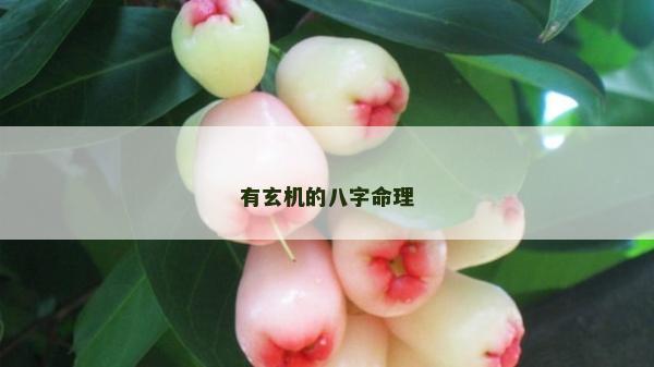 有玄机的八字命理