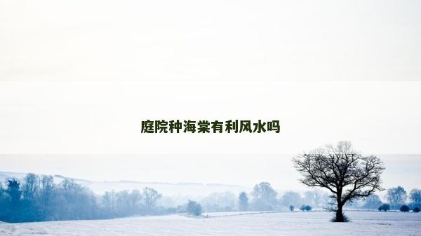 庭院种海棠有利风水吗