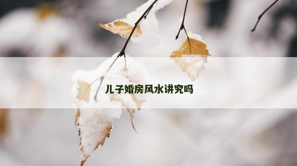 儿子婚房风水讲究吗