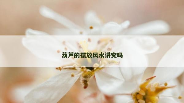 葫芦的摆放风水讲究吗
