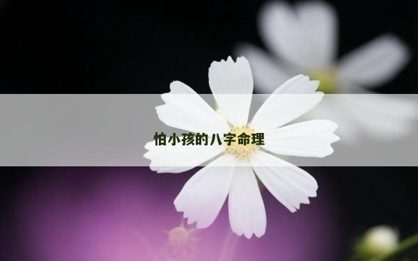 怕小孩的八字命理