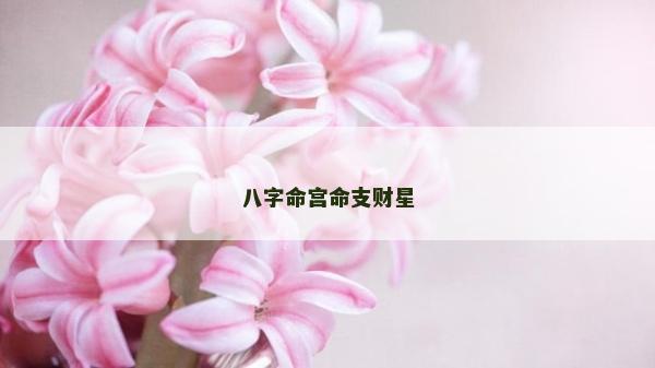 八字命宫命支财星