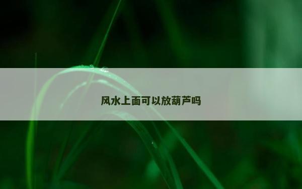 风水上面可以放葫芦吗