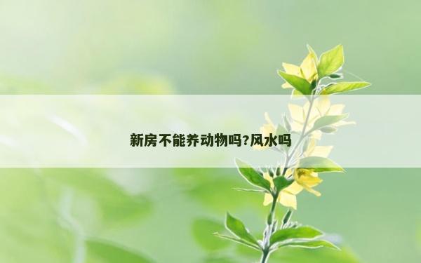 新房不能养动物吗?风水吗