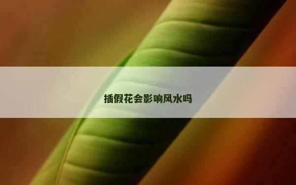 插假花会影响风水吗