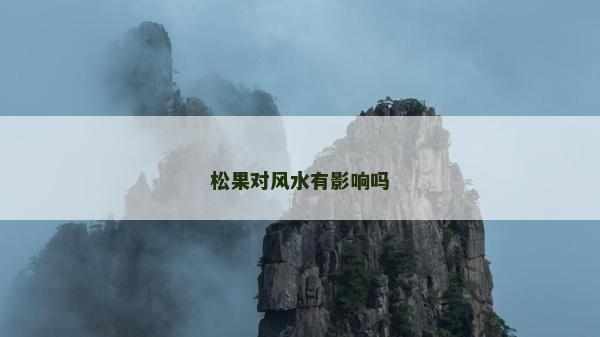 松果对风水有影响吗