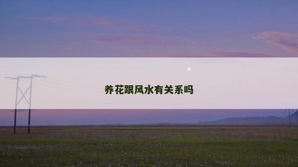 养花跟风水有关系吗