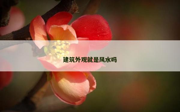 建筑外观就是风水吗