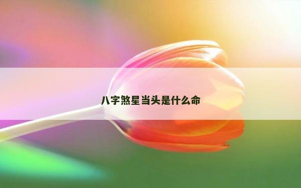 八字煞星当头是什么命