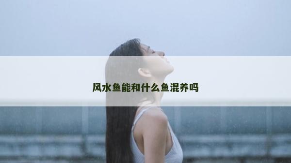 风水鱼能和什么鱼混养吗