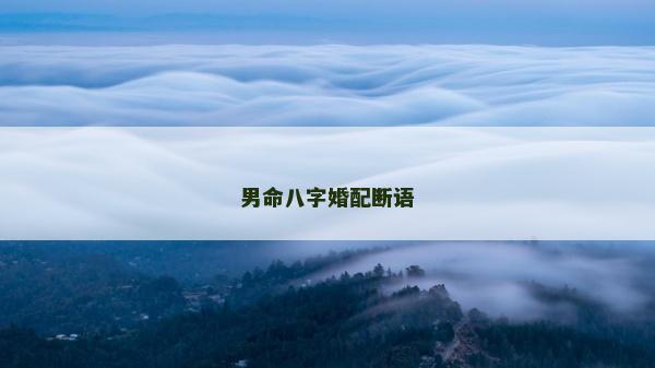男命八字婚配断语