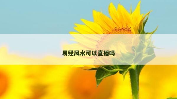 易经风水可以直播吗
