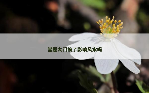 堂屋大门换了影响风水吗