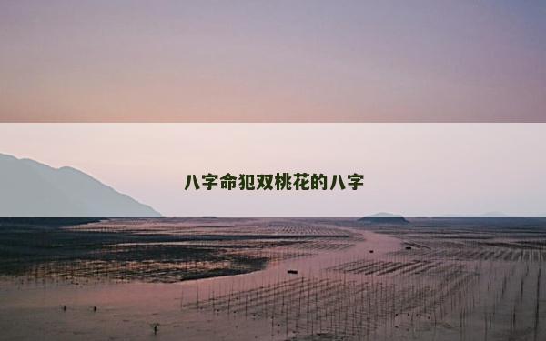 八字命犯双桃花的八字