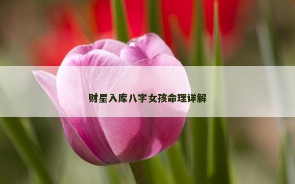 财星入库八字女孩命理详解
