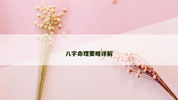 八字命理要略详解