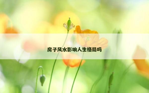 房子风水影响人生格局吗