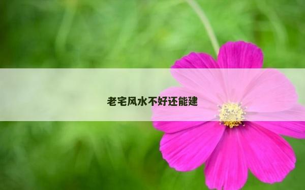 老宅风水不好还能建