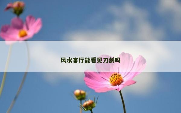 风水客厅能看见刀剑吗