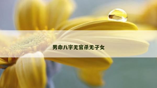 男命八字无官杀无子女