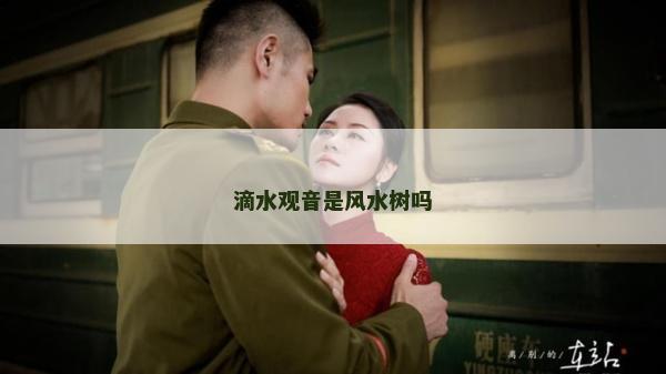 滴水观音是风水树吗