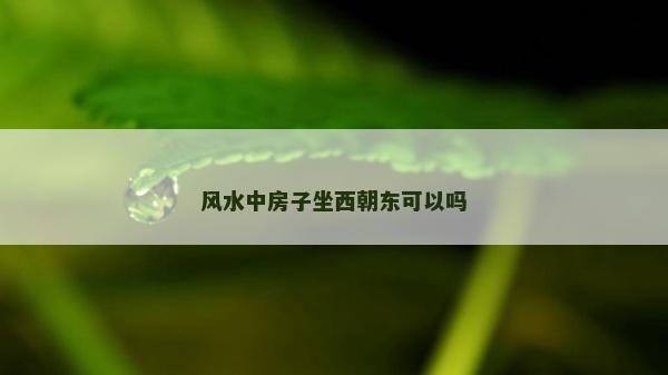 风水中房子坐西朝东可以吗