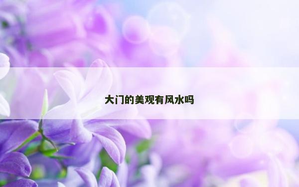 大门的美观有风水吗