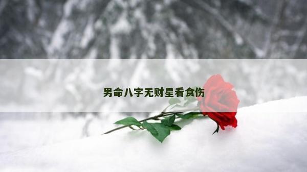 男命八字无财星看食伤
