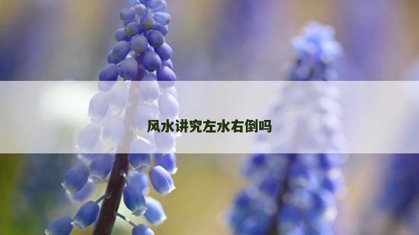 风水讲究左水右倒吗