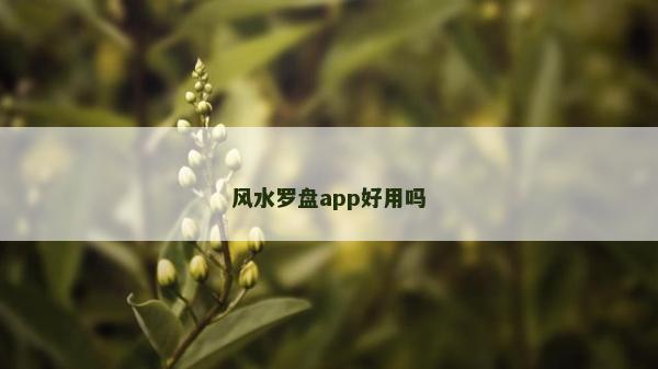 风水罗盘app好用吗