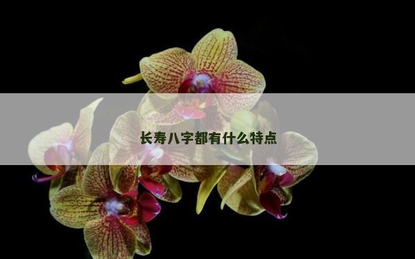长寿八字都有什么特点