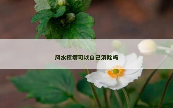 风水疙瘩可以自己消除吗