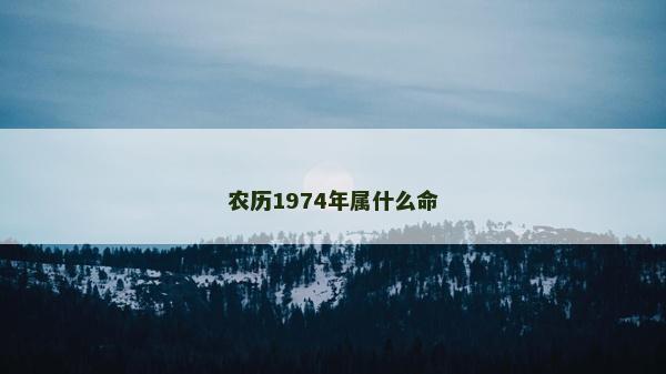 农历1974年属什么命