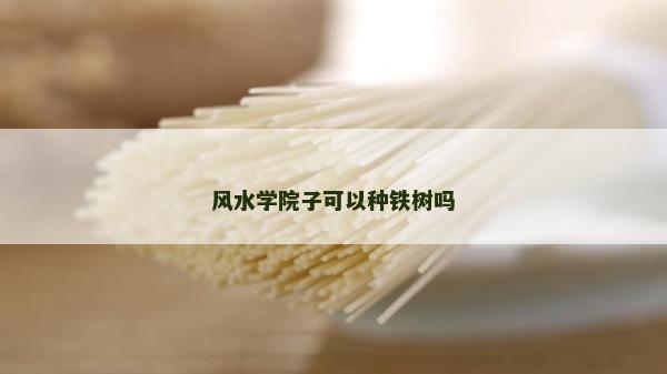 风水学院子可以种铁树吗