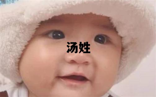 汤姓大气文雅的男宝宝名字