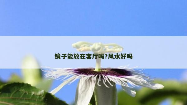 镜子能放在客厅吗?风水好吗