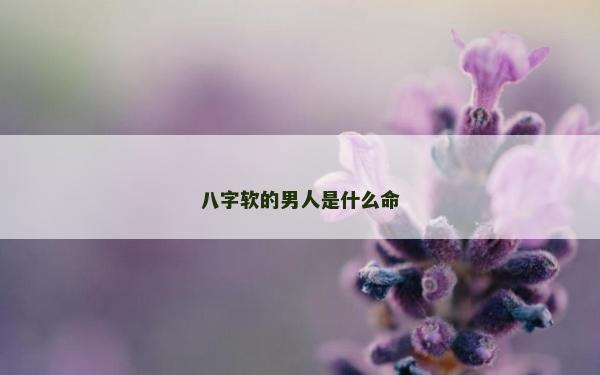 八字软的男人是什么命