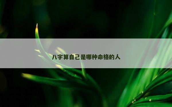 八字算自己是哪种命格的人