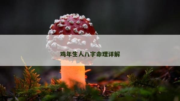 鸡年生人八字命理详解