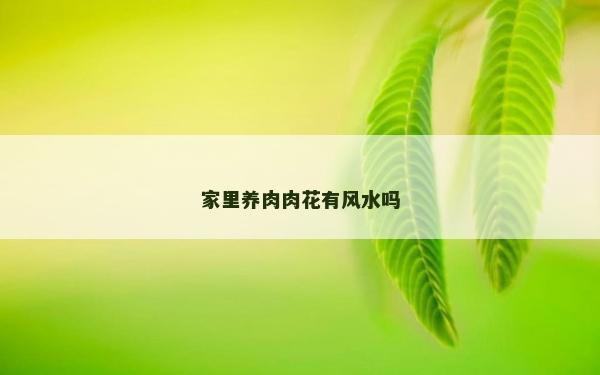 家里养肉肉花有风水吗